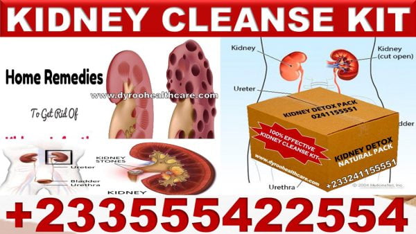 Best Herbal Medicine for Kidney Disorders in Ghana