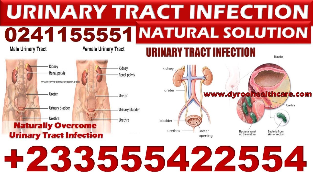 urinary tract infection antibiotics