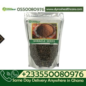 Croton Seeds